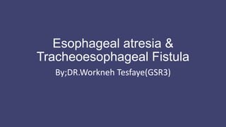 Esophageal atresia &
Tracheoesophageal Fistula
By;DR.Workneh Tesfaye(GSR3)
 