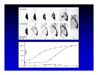 High Frequency Ventillation