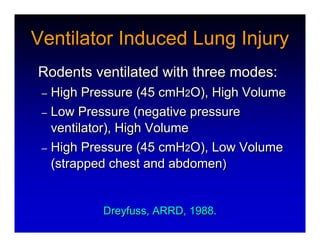 High Frequency Ventillation