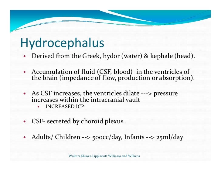 Principles Of Neurosurgery Setti Rengachary Pdf