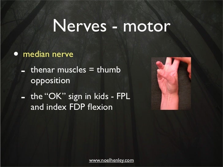 Pediatric Hand Injuries - Evaluation, Diagnosis
