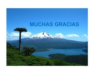 31
MUCHAS GRACIAS
 