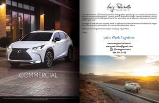 Avery_Peechatka_Portfolio_2019