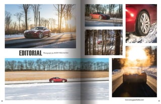 Avery_Peechatka_Portfolio_2019