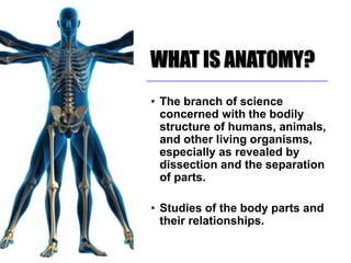WHAT IS ANATOMY?
• The branch of science
concerned with the bodily
structure of humans, animals,
and other living organisms,
especially as revealed by
dissection and the separation
of parts.
• Studies of the body parts and
their relationships.
 