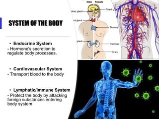 SYSTEM OF THE BODY
• Endocrine System
- Hormone's secretion to
regulate body processes.
• Cardiovascular System
- Transport blood to the body
• Lymphatic/Immune System
- Protect the body by attacking
foreign substances entering
body system
 