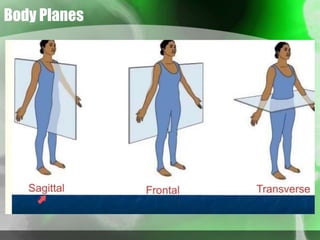Body Planes
 
