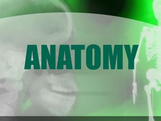 ANATOMY
 
