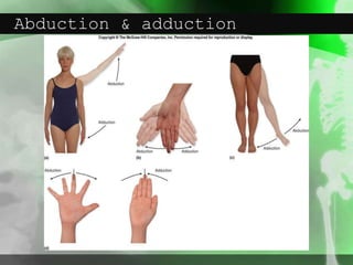 Abduction & adduction
 
