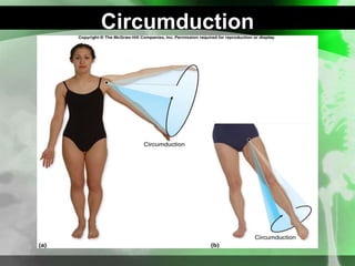 Circumduction
 