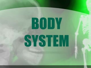 BODY
SYSTEM
 