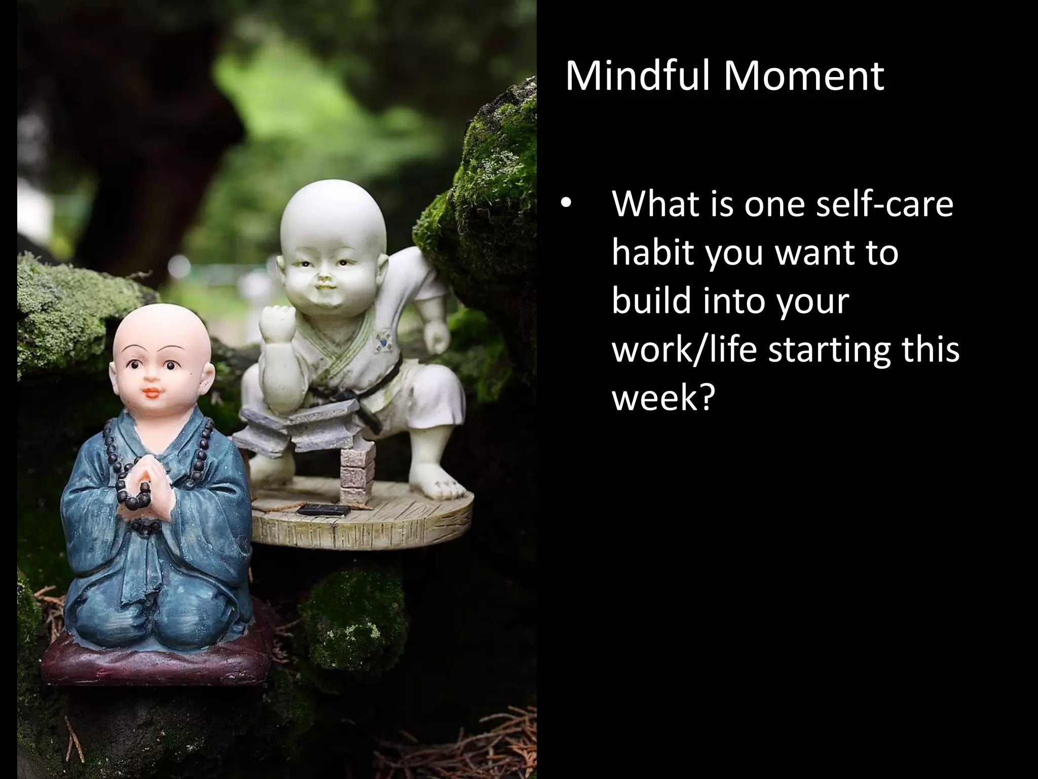 • What is one self-care
habit you want to
build into your
work/life starting this
week?
Mindful Moment
 