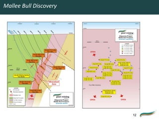 Mallee Bull Discovery




                        12
 