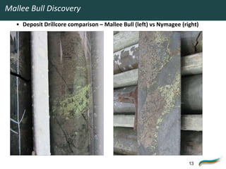 Mallee Bull Discovery
   • Deposit Drillcore comparison – Mallee Bull (left) vs Nymagee (right)




                                                                     13
 