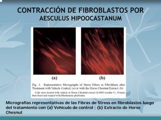 Peelling Rostoro Cuello