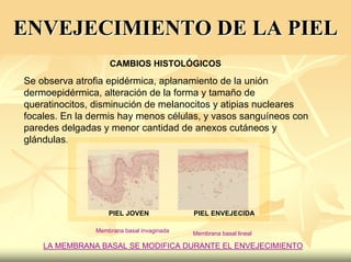 Peelling Rostoro Cuello