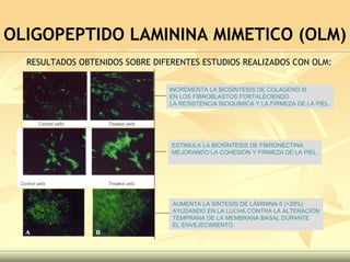 Peelling Rostoro Cuello