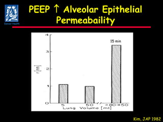 PEEP    Alveolar Epithelial Permeabaility Kim, JAP 1982 15 min Denver Health 