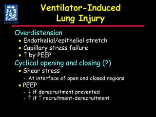 Ventilator-Induced Lung Injury Overdistension  Endothelial/epithelial stretch  Capillary stress failure     by PEEP Cyclical opening and closing (?)    Shear stress  - At interface of open and closed regions     PEEP -   if derecruitment prevented -   if    recruitment-derecruitment Denver Health 
