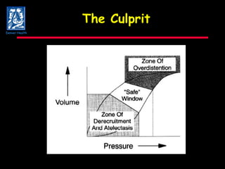 The Culprit Denver Health 