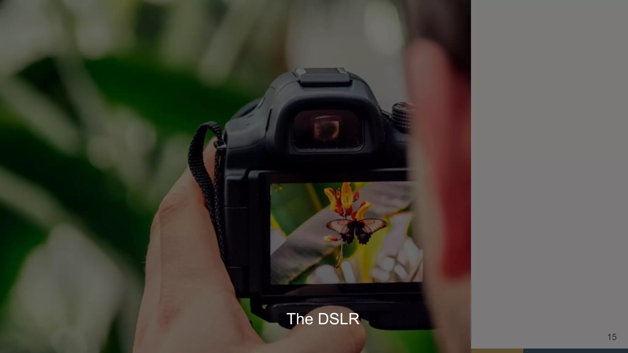 15
The DSLR
 