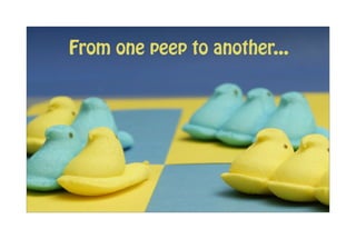 From one peep to another...
 