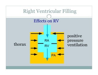 PEEP:Bring the Evidence to the Bedside