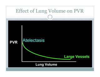 PEEP:Bring the Evidence to the Bedside