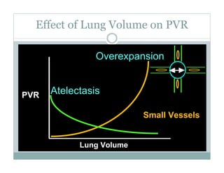PEEP:Bring the Evidence to the Bedside