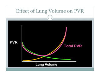 PEEP:Bring the Evidence to the Bedside