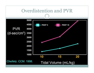 PEEP:Bring the Evidence to the Bedside
