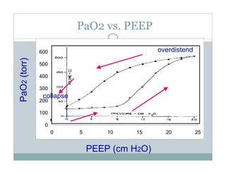 PEEP:Bring the Evidence to the Bedside