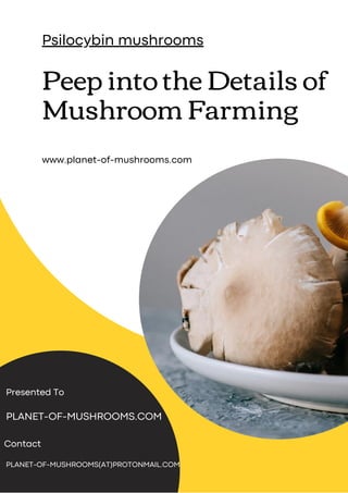 PLANET-OF-MUSHROOMS.COM
Presented To
PLANET-OF-MUSHROOMS(AT)PROTONMAIL.COM
Contact
Peep into the Details of
Mushroom Farming
Psilocybin mushrooms
www.planet-of-mushrooms.com
 