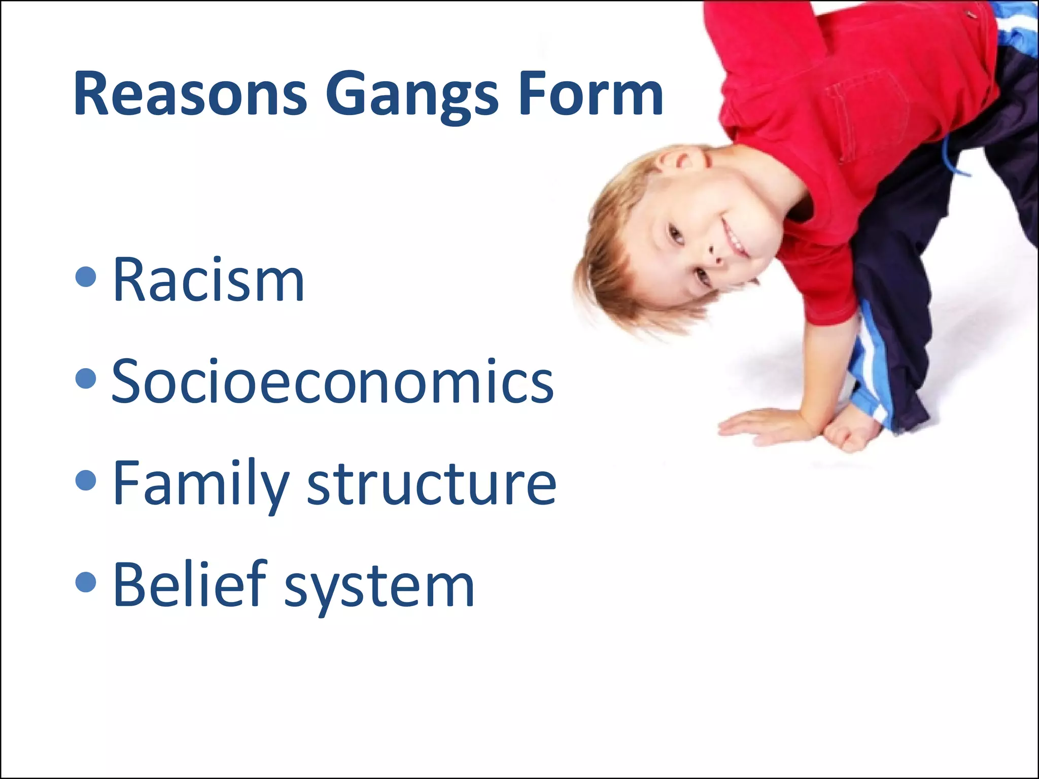 Reasons Gangs Form Racism Socioeconomics Family structure Belief system 