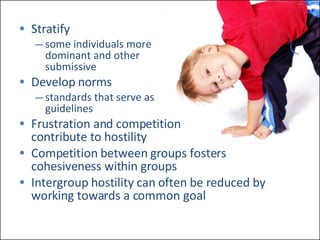 Stratify some individuals more  dominant and other  submissive Develop norms standards that serve as  guidelines Frustration and competition  contribute to hostility Competition between groups fosters cohesiveness within groups Intergroup hostility can often be reduced by working towards a common goal 