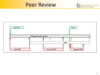 peer-review.pdf