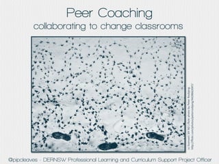 Peer Coaching
                                                                                                                                                                             collaborating to change classrooms




                                                                                    cc	
  licensed	
  (	
  BY	
  ND	
  )	
  ﬂickr	
  photo	
  by	
  Peter	
  Rosbjerg:	
  
                                                                                    h=p://ﬂickr.com/photos/peterrosbjerg/4428662047/	
  
@pipcleaves - DERNSW Professional Learning and Curriculum Support Project Officer
 