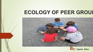 ECOLOGY OF PEER GROUP
By: Cyprian Ndive
 