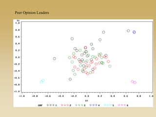 Peer Opinion Leaders
 