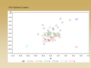 Peer Opinion Leaders
 
