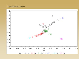 Peer Opinion Leaders
 