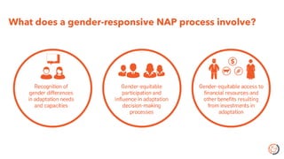 What does a gender-responsive NAP process involve?
 