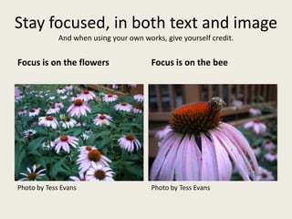 Stay focused, in both text and image
And when using your own works, give yourself credit.
Focus is on the flowers Focus is on the bee
Photo by Tess Evans Photo by Tess Evans
 
