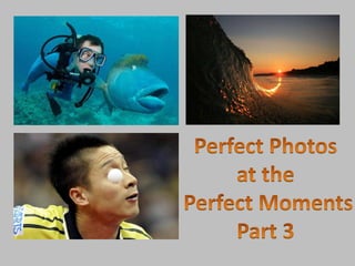 Perfect Photos  at the  Perfect Moments Part 3