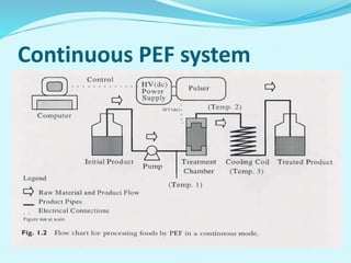 Pef Machine pulse electric field | PPTX