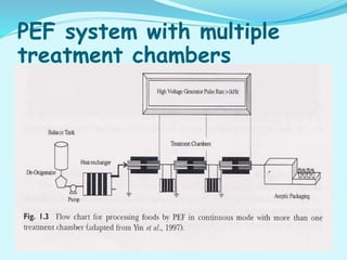 Pef Machine pulse electric field | PPTX