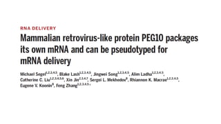PEG10 mRNA.pptx
