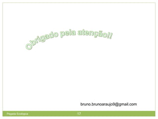 bruno.brunoaraujo9@gmail.com
17Pegada Ecológica
 