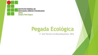 Pegada Ecológica
2° Ano Técnico em Biocombustíveis, 2016
 