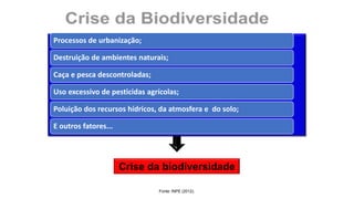 Crise da biodiversidade
Fonte: INPE (2012).
Processos de urbanização;
Destruição de ambientes naturais;
Caça e pesca descontroladas;
Uso excessivo de pesticidas agrícolas;
Poluição dos recursos hídricos, da atmosfera e do solo;
E outros fatores...
 